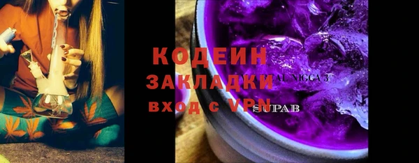 сатива Осинники