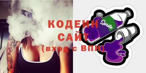 гашик Шали