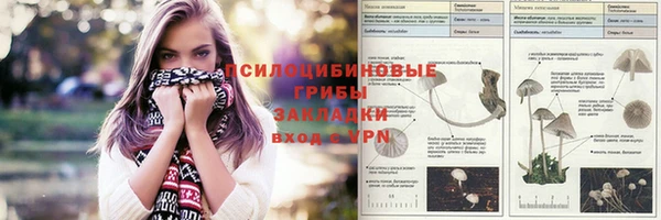 сатива Осинники