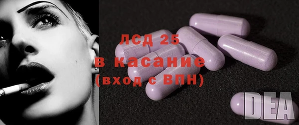 ГАЛЛЮЦИНОГЕННЫЕ ГРИБЫ Остров