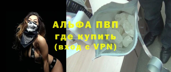 сатива Осинники