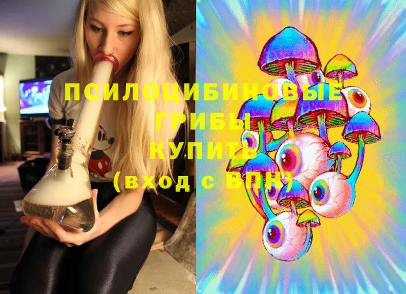 Галлюциногенные грибы Psilocybine cubensis  Куртамыш 